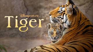 Tiger (2024) movie review.