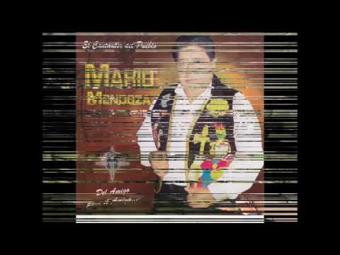 MARIO MENDOZA DAMAZO      "PLANTA DE MAGUEY"