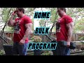 Canadian Bodybuilder Bulking and Training at Home, armday backyard workout