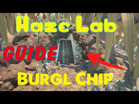 Haze Lab & Chip Guide
