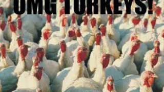 Da Turkey Song