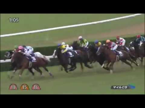 マイルチャンピオンシップ2016