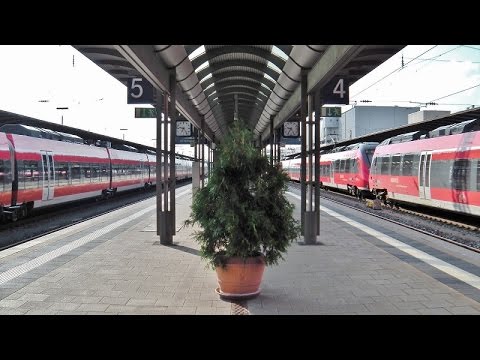 Bamberg [am Bahnsteig] mit ICEs (+Mitfahrt), Regionalzüge (viele verschiedene), IC, Güterzüge