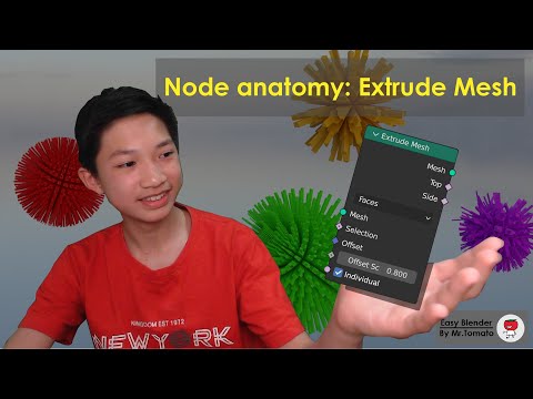 Node Anatomy: Extrude Mesh