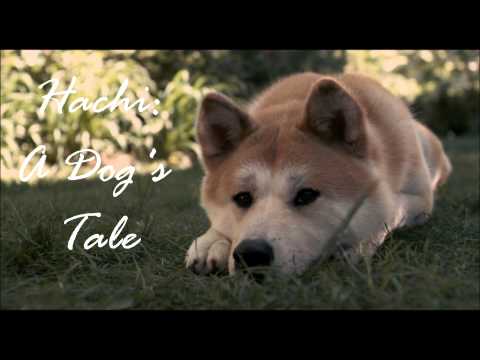 Hachi: A Dog's Tale - Goodbye