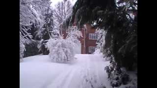 Snow oand a trip to the Big Brum Record Fair