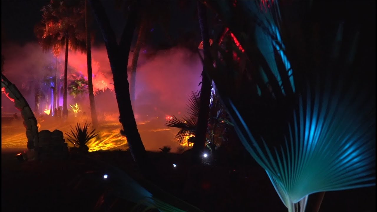 NightGarden at Fairchild Tropical Botanic Garden | Art Loft 705 Segment