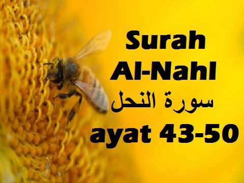 2014/03/03 Ustaz Shamsuri 802 - NE2 Surah An Nahl ayat 43-50