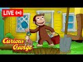 LIVE Curious George Episodes George The Digger 🪏 MORE