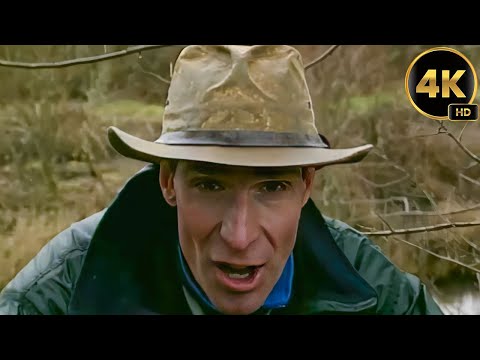 Bill Nye The Science Guy | WETLANDS | 4K