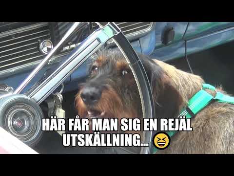 Utskällning