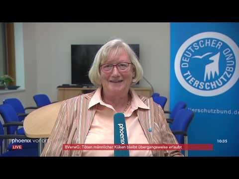 Birgitte Rusche zum Urteil über die Rechtmäßigkeit des Tötens männlicher Küken am 13.06.19