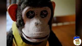 Hail Mary Mallon   Used Cars