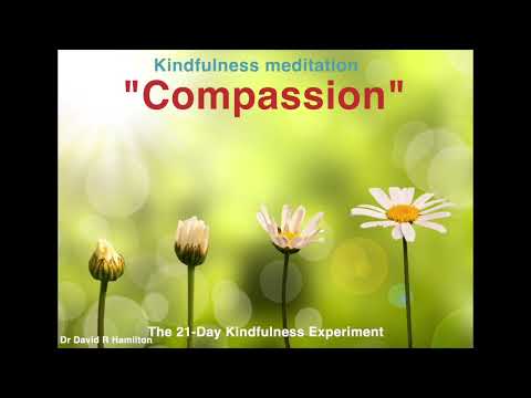 Day 19 kindfulness meditation - "compassion"