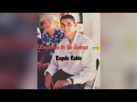 Recuerdos De Un Ántrax - Regulo Rubio