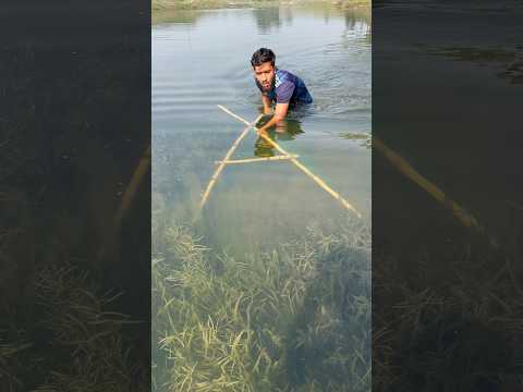 New River Full Fresh Water Best Rural Boys Net Fishing Skills