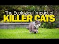 Pet Cats Kill 10x More Than Natural Predators