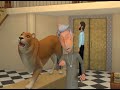 HALKAT SAWAAL LION
