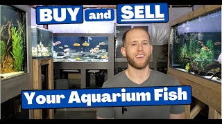 The new way to BUY and SELL Your Fish (special guest The Secret History Living in Your Aquarium)