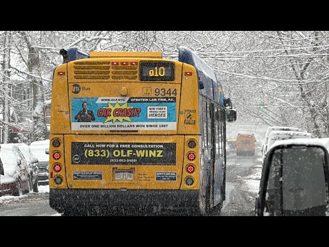 Q10 Bus