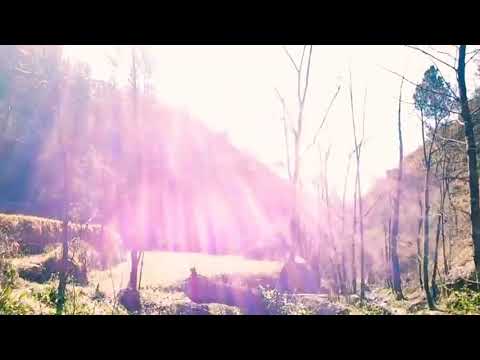 Stream | Hometown | Nature