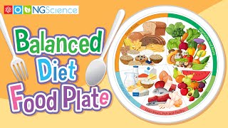 Balanced Diet Food Plate