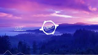 Download lagu [NPH] Vợ Người Ta Remix | HoaproX | Phan Mạnh Quỳnh | 4K mp3