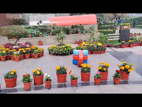 Garden of Imagination