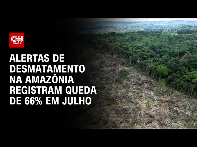 Alertas de desmatamento na Amazônia registram queda de 66% em julho | CNN PRIME TIME