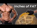 How Your Body Really Burns Fat Can We Control It
