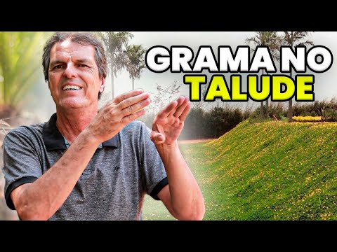 HOW TO PREPARE A SLOPE FOR PLANTING GRASS?