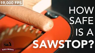 How Safe is a Sawstop Saw? - Never Before Seen 19,000 FPS HD Slow-Mo Video