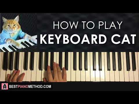 YouTube video about: How to play keyboard cat on piano?