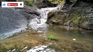 Download lagu Sungai air mengalir mp3