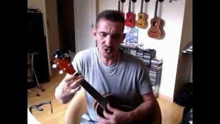 Renaud adieu minette par JP.mov au ukulélé