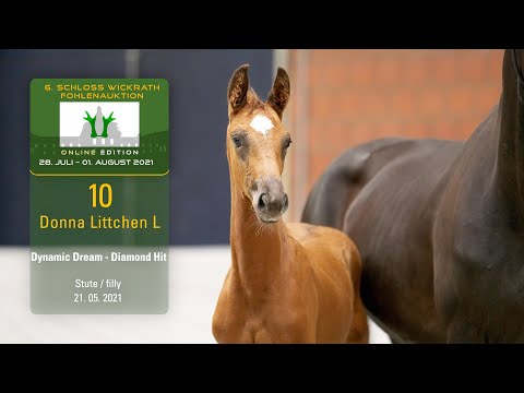 Fohlenauktion 28.7. - 01.8.2021 Katalog-Nr. 10 Donna Littchen L SF v. Dynamic Dream - Diamond Hit