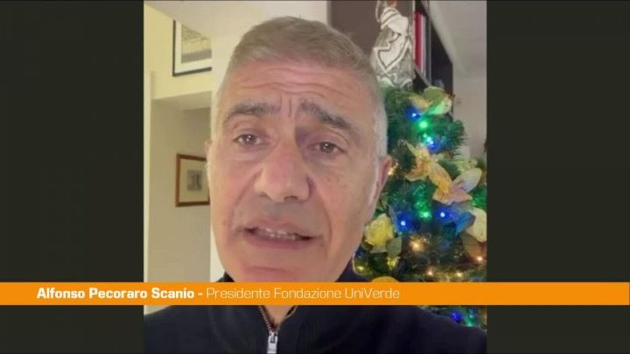 Ponte sullo Stretto, Pecoraro Scanio "Progetto fallito, Governo dica la verità"