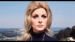 Babasonicos - Sharon Tate (Letra)