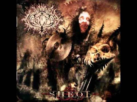 I Am Vengeance - Naglfar