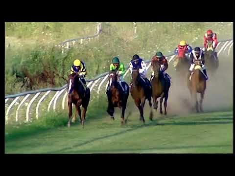 Napoli Galoppo 22/07/2022 - 5ª corsa