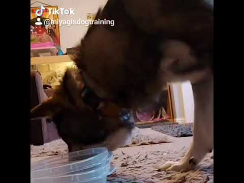 Beginning of Freeze Indication