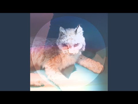 Take My Hand and Lead Me Home