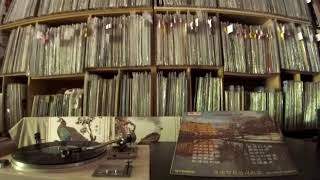 The Stylers 時代樂樂隊 -- b4 情人的眼淚 (Lover&#39;s Tears)