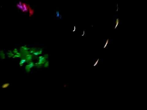 mungos kashina 23.10.2010 part 2