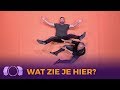 Het was een zware BEVALLING!! | De Gordon tegen Dino Show