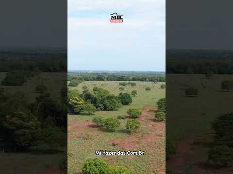 Fazenda em Bonópolis próx. a Porangatu-GO - 273 Ha - Potencial agrícola #agro #fazendasavenda