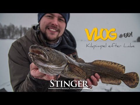 Isfiskeri efter knuder om dagen