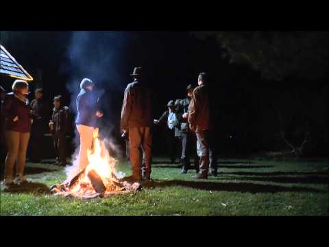 2 gewaltige Hirsche auf der Strecke