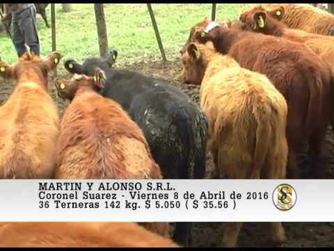 08-04-16 Venta de Hembras - Martin y Alonso S.R.L. - Coronel Suarez.