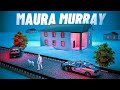 Haunting Mystery Of Maura Murray A Deep Dive Into Her Disappearance